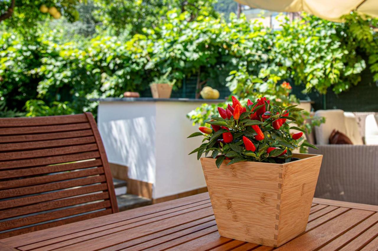 Xenia House Sorrento Hotell Eksteriør bilde